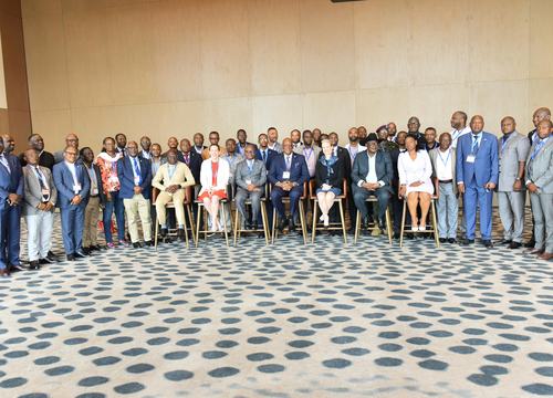 le minerais Critique du bassin du Congo au centre des échanges stratégiques